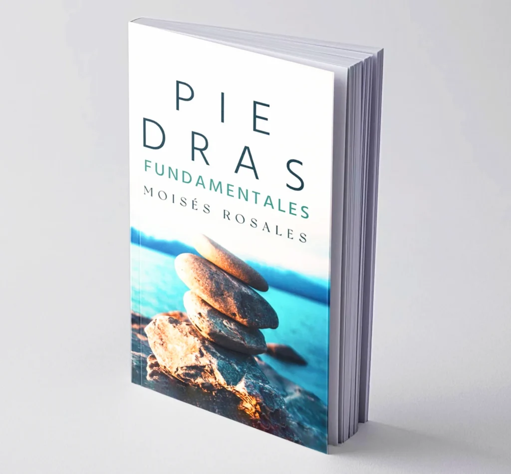 18 Diseños de libros Neho Books